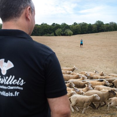 Le Marvillois -13.jpg